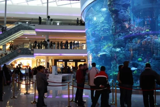 Tours From Casablanca