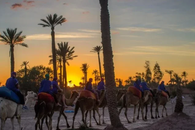 Marrakech Activities